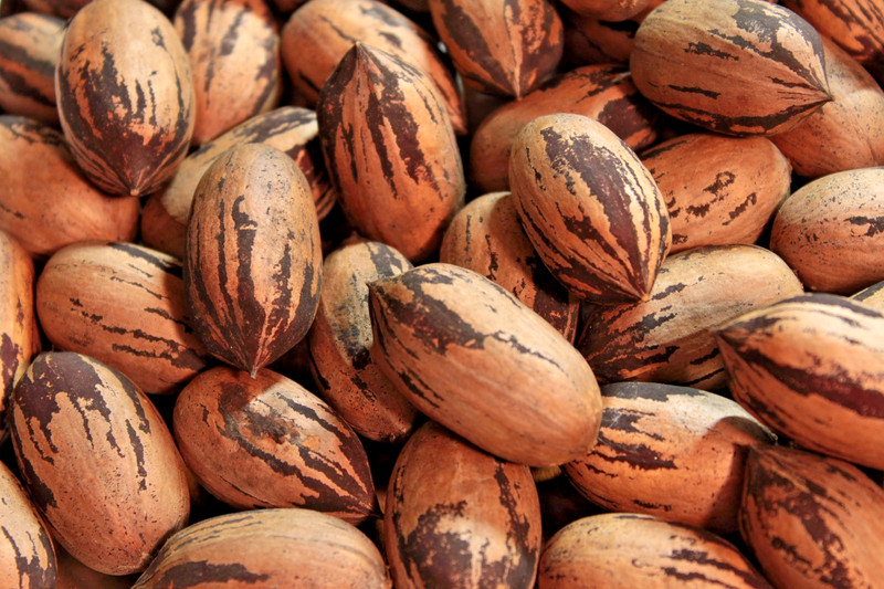 Hand-Picked GA Pecans — MANY Cultivars — 2 LB Sorted Variety Pack gallery