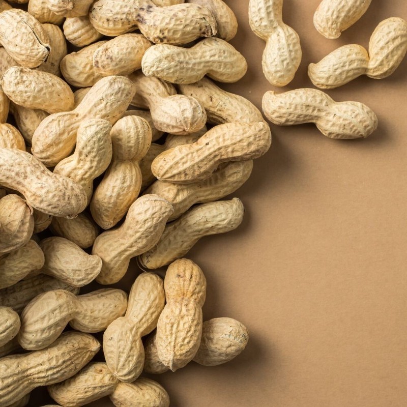 Red Skin Peanuts Natural Organic Raw Whole Unsalted Peanut from Sri Lanka 5 oz gallery