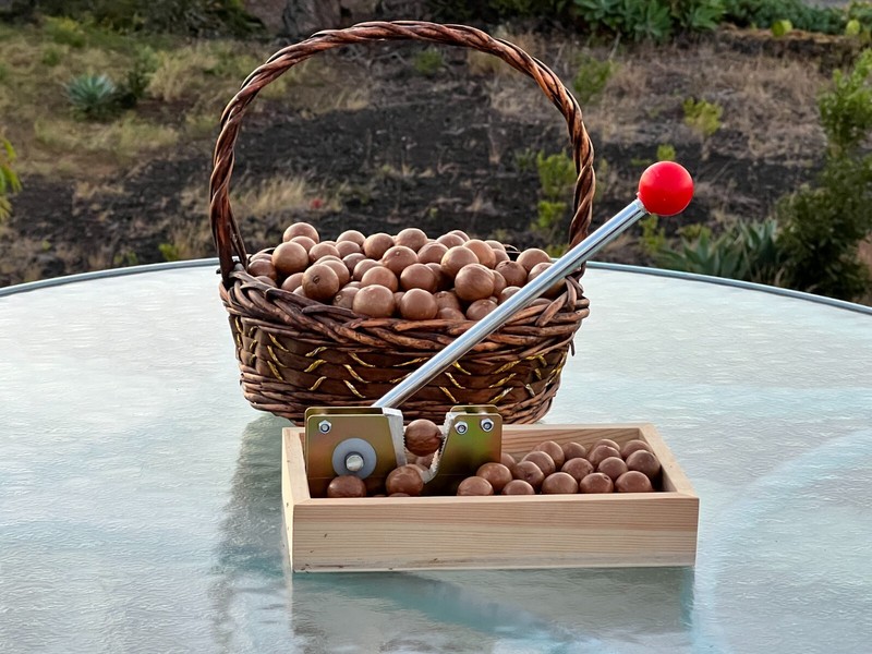 5 lbs Fresh Organic Hawaiian Macadamia Nuts Raw in Shell + HD Nut Cracker, Keto