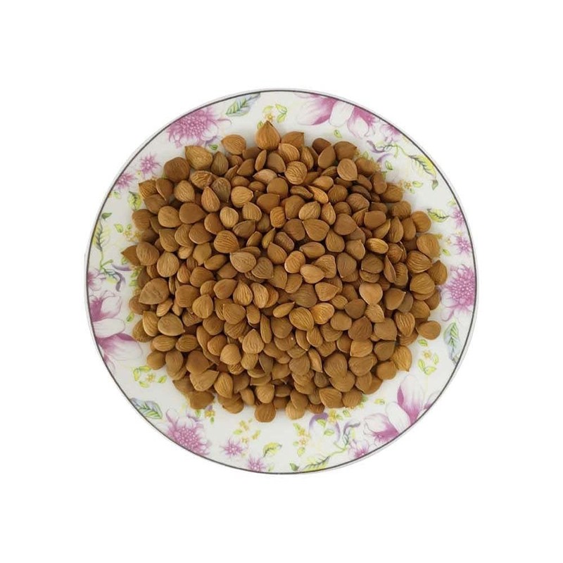 Organic BITTER Apricot Kernels 16 Oz, Whole Raw Apricot Seeds, Sun Dried, Kosher gallery
