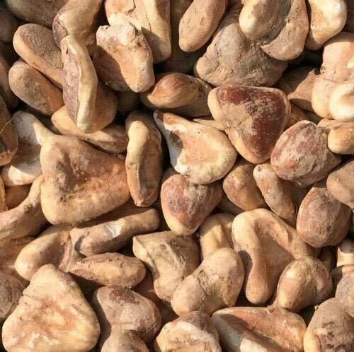 100gm Dry Singhoda (Chest Nut) Singhara , Trapa bispinosa gallery