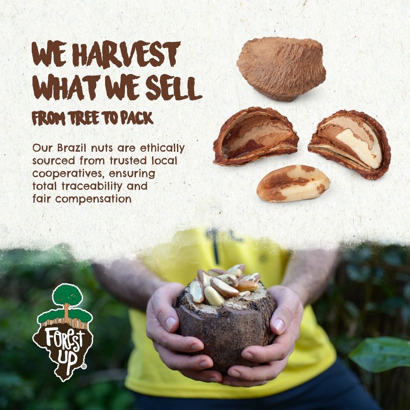 Snack The True Organic Brazil Nuts 15 oz – Raw and Unsalted – – Healthy-Rich ... gallery