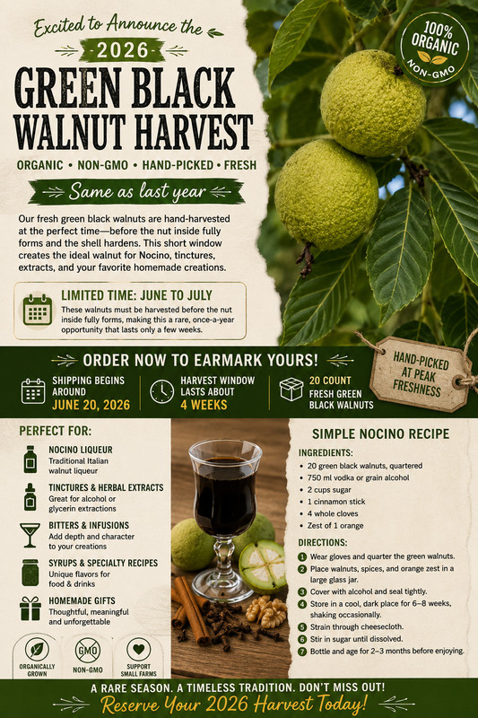 Excited to Announce the 2026 Green Black Walnut 20 Nocino/ Tincture