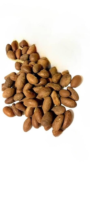 FOM~S Bitter Kola Nut Garcinia AKI-ilu Mijin-goro Orogbo Efiat 227g 8oz Zero ... gallery