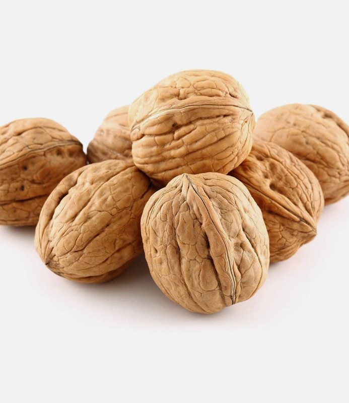Premium Natural Walnuts in Shell 48 Oz Walnuts in Shell, Jumbo, Fresh, Buttery T