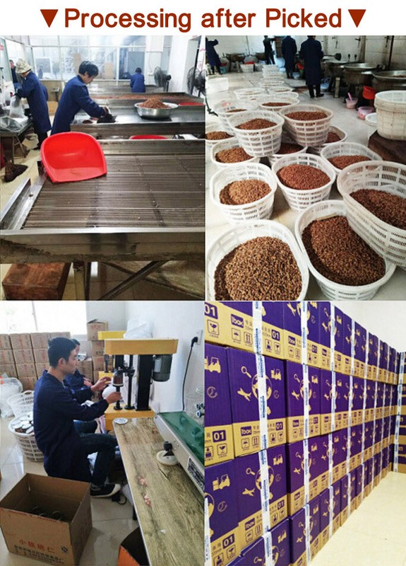 Chinese Walnuts,Linan Mountain Walnut kernels,Walnut Meat,3 Flavors,250g,临安山核桃仁 gallery