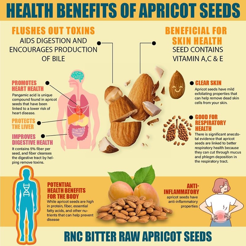 Fresh Raw Bitter Apricot Seeds 1 LB (16oz) | California Grown | Natural Sourc... gallery