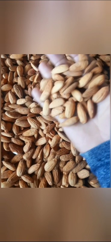Nuts Organic Whole Raw Almonds - Bulgaria 500 grams gallery