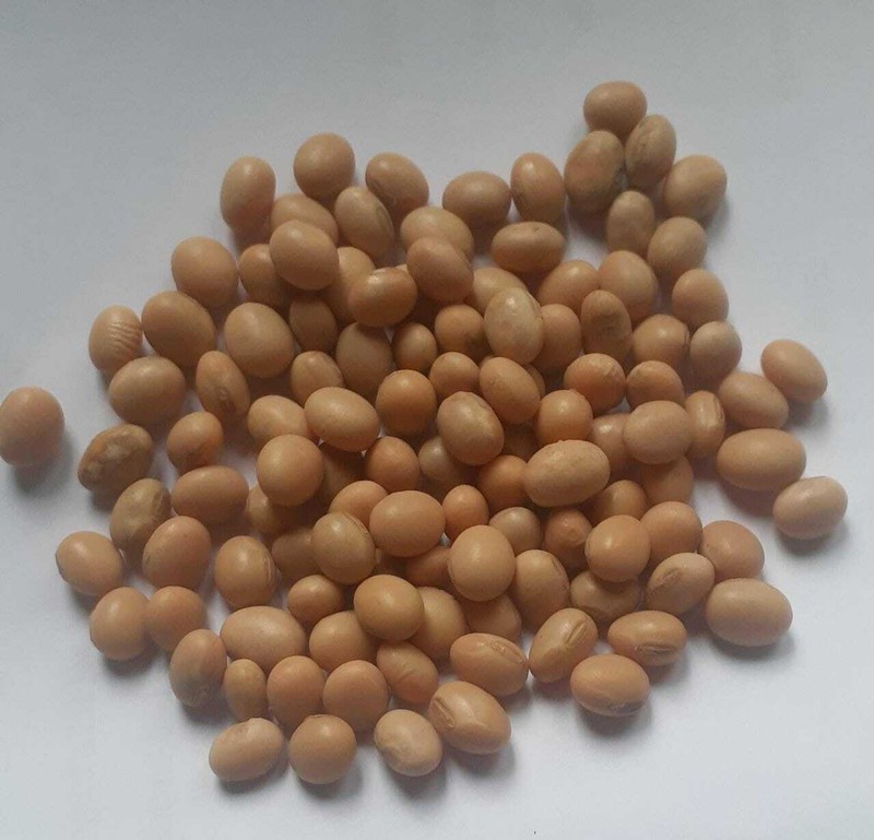 Organic Highly Nutritional Soya Beans For Tofu soy milk making No Preservatives gallery