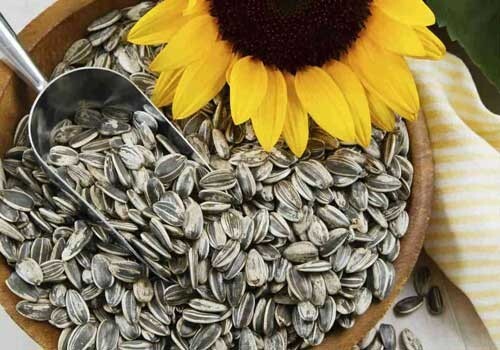 Sunflower Roasted Seeds Unsalted Healthy Natural Vegan Snack ,400gm لب سورى gallery