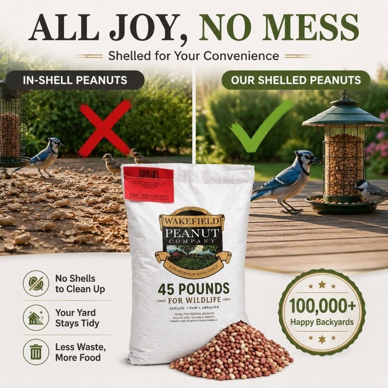 Large 45LB Bulk Bag of Shelled Unsalted for Wildlife Feeding gallery