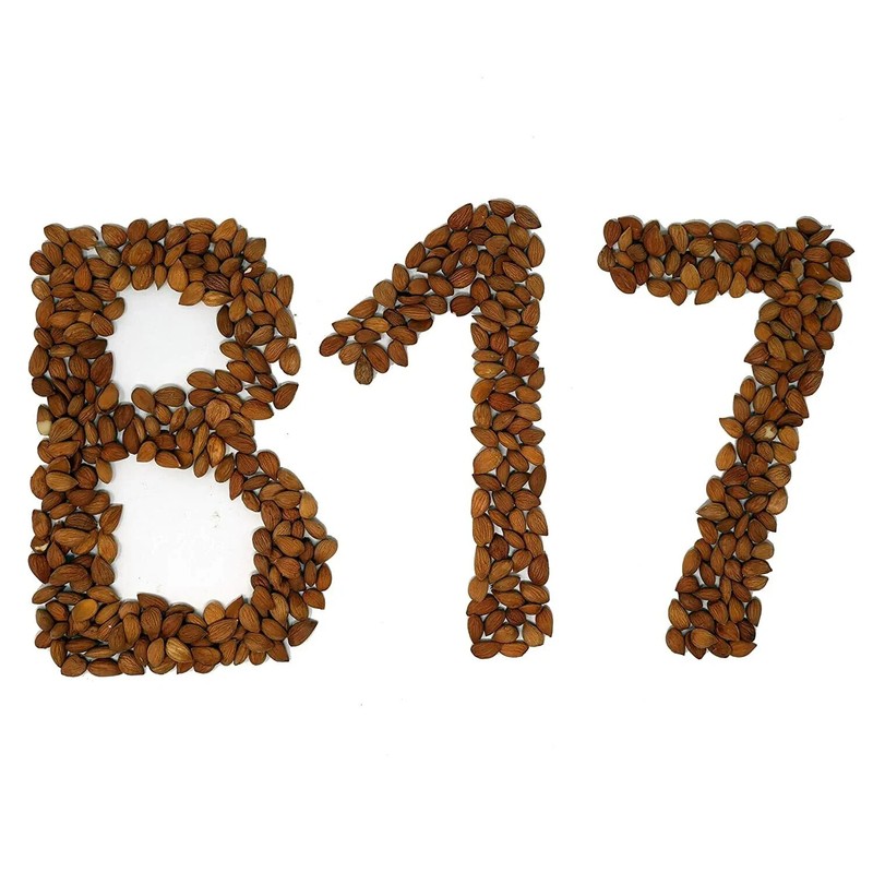 Arashan Apricots Seeds - Dried Sweet Raw Apricot Kernels (1 LB - 16 oz) gallery
