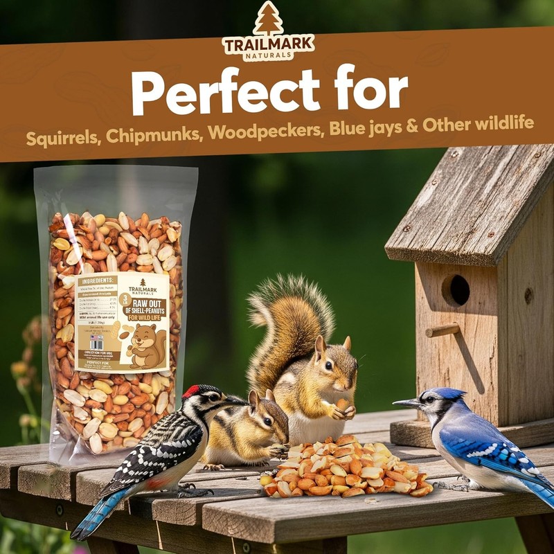 11 LB - Raw Shelled Peanuts for Squirrels, Out of Shell Peanuts for Birds and Wi gallery