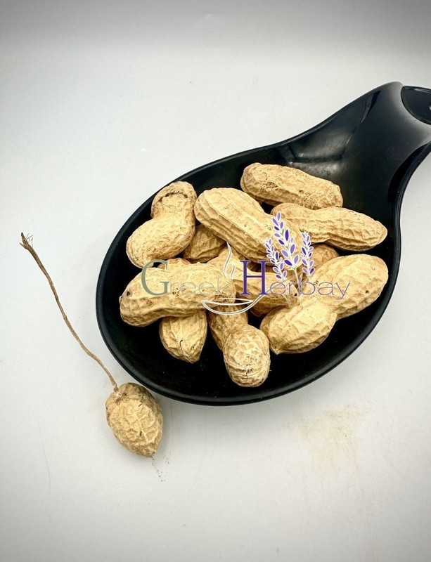 Shelled Peanuts Nuts Unsalted & Roasted 40g – 2kg Arachis Hypogaea
