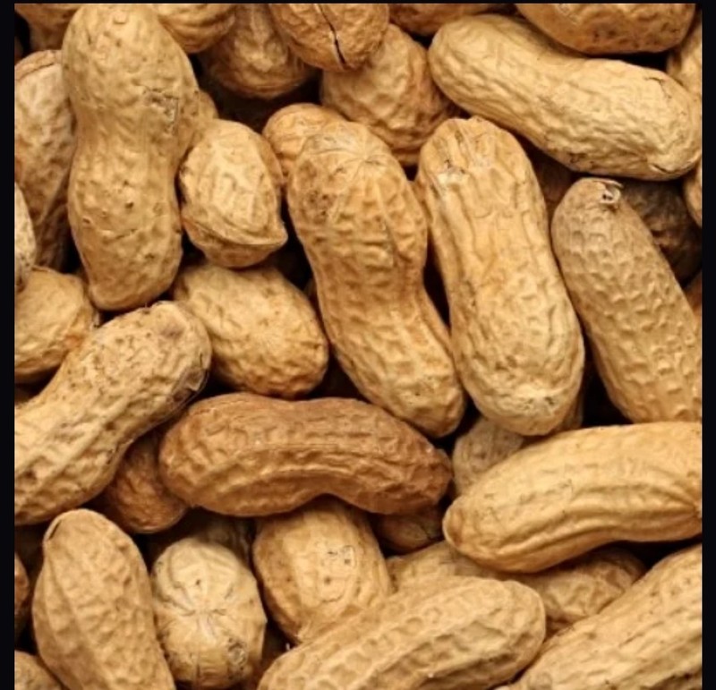10 Pound Box Salted Dry Roasted Peanuts In Shell Best Deal On Ebay Fast Shipping