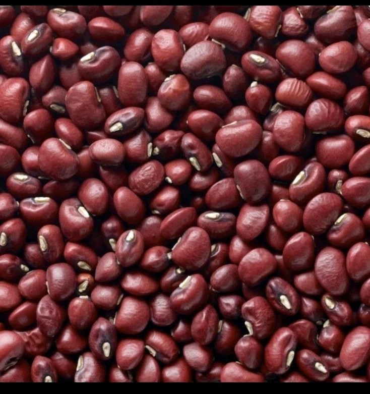 Red Ripper pea seed