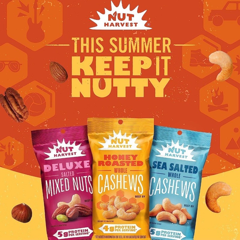 Sea Salted Whole Cashews 2.25 Ounce Pack of 16 Fresh Healthy Snack Natural Vegan gallery