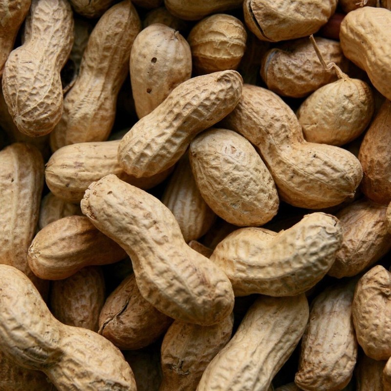 Red Skin Peanuts Natural Organic Raw Whole Unsalted Peanut from Sri Lanka 5 oz gallery