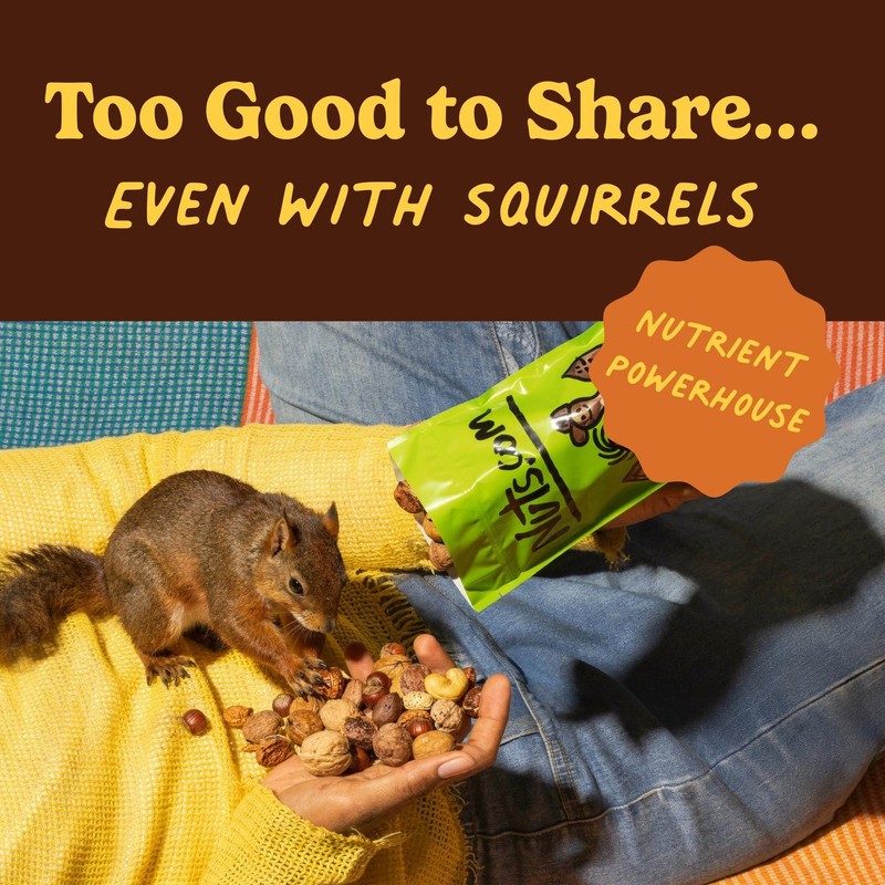 Nuts com Mixed Nuts in Shell, No Brazil Nuts 3 lb Bag, Natural, Includes Wal... gallery