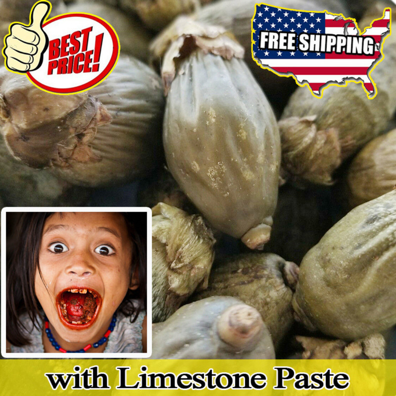 Dried Young Betel Nut Areca Supari Catechu Nuts Free Limestone Paste 5 Pieces