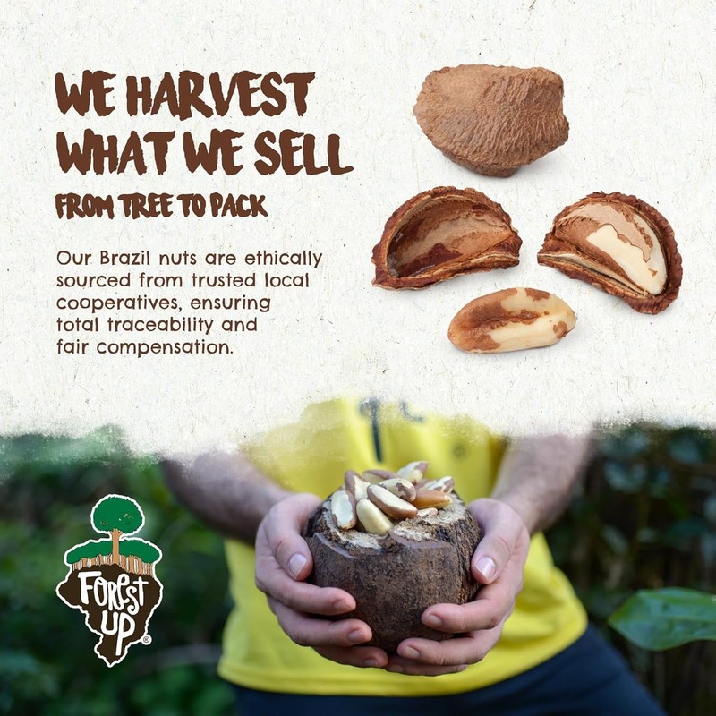Organic Brazil Nuts, Roasted with Himalayan Salt, 15oz, Kosher, Vegan gallery
