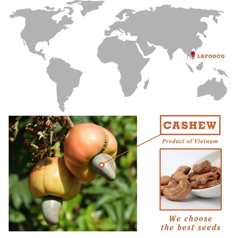 LAFOOCO Sea Salt Caramel Cashews, Vietnam Cashews, Lightly Salted, Sweet Tast... gallery