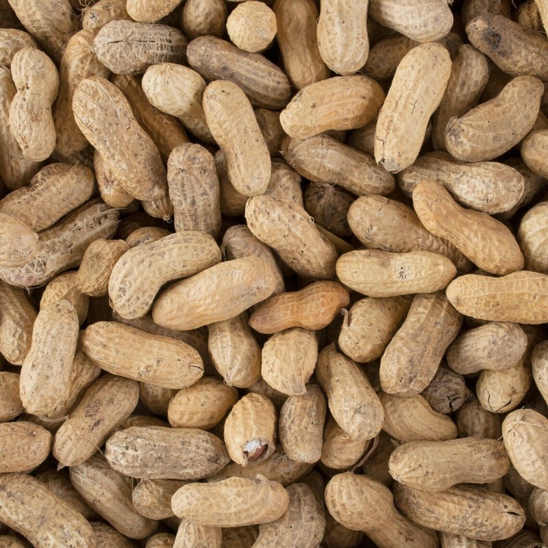 Hampton Farms Bulk Supply 25 lb. Gluten Free Roasted Salted In-Shell Peanuts gallery