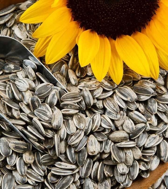 Sunflower Seeds 100g - Raw Sunflower Seeds for Eating | Diet Food gallery