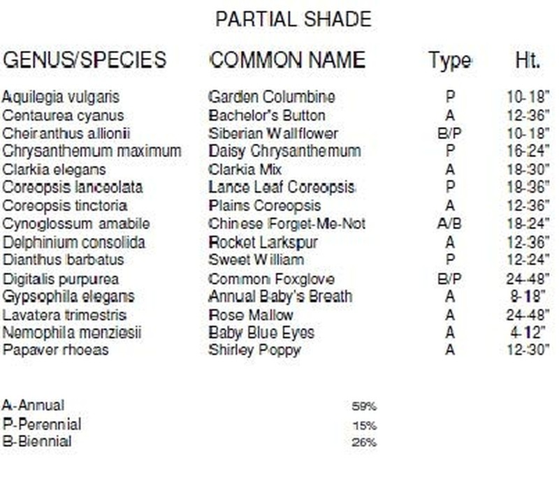 Non GMO Bulk Partial Shade Wildflower Seed Mix (1 lb) 520,000 Seeds 1 lb gallery