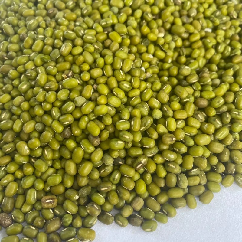 Organic Whole Dried Mung bean (Green Gram) Spices Moong Dal 100% Natural gallery