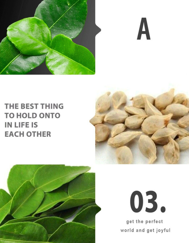 50 Green Lemon Seeds & 30 leaves,Lemon Tree Seed Citrus limon Heirloom Organic