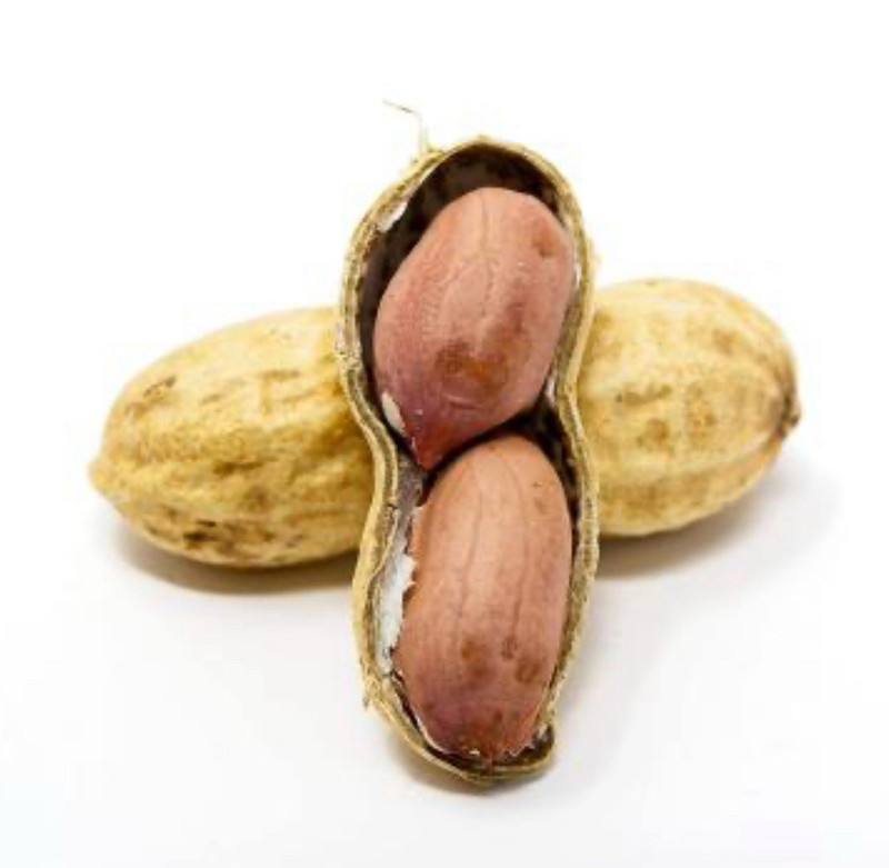 In Shell Peanuts Raw 1LB