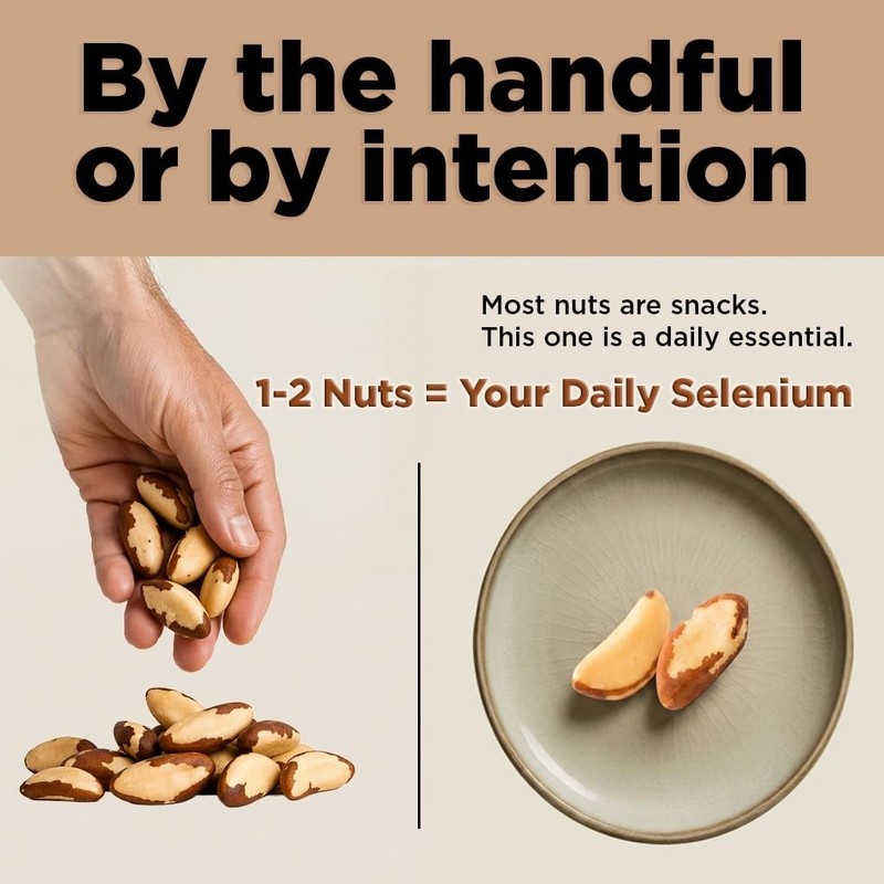 Wild Harvested Raw Brazil Nuts 3 lbs - High Selenium, Non-GMO, Gluten-Free, Kosh gallery