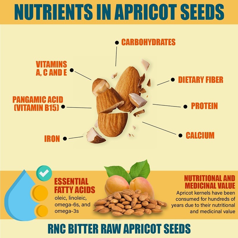 Richardson Nutritional Center Fresh Raw Bitter Apricot Seeds 32oz USA Organic gallery