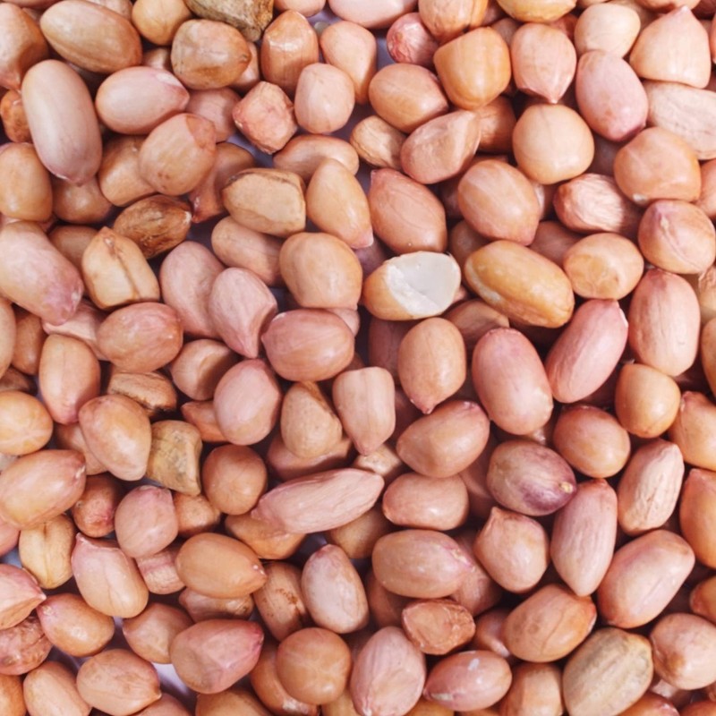 Natural Peanut Groundnut Fresh Whole Raw Peanuts Premium Quality Dry Fruit 900g