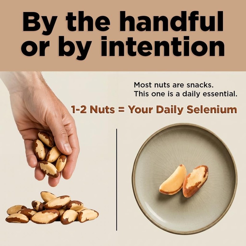 Raw Brazil Nuts 1 lb - Wild Harvested, High Selenium, Non-GMO, Gluten Free, Kosh gallery