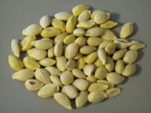 50 Green Lemon Seeds & 30 leaves,Lemon Tree Seed Citrus limon Heirloom Organic gallery