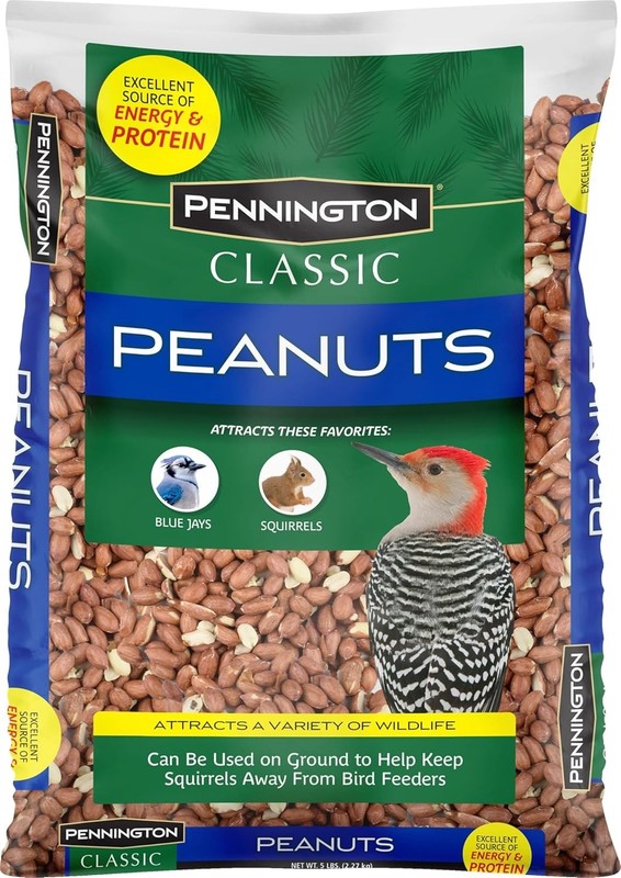 Classic Shelled Peanuts 5 pounds gallery