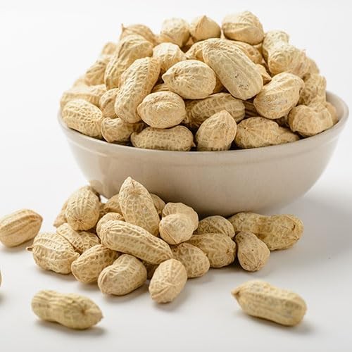 Peanuts Fire Roasted Salted In Shell Bulk Party Pack 10 lb Box gallery