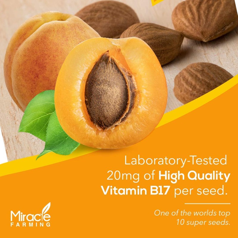 Bitter Apricot Seeds/Kernels, California USA Grown, Non GMO, Vegan, Raw & Lar... gallery
