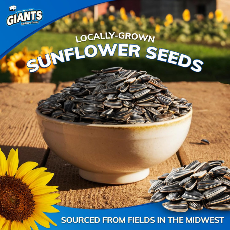 GIANTS Kettle Roast Sweet & Salty Sunflower Seeds - Sunflower Seeds Bulk, Sunflo gallery
