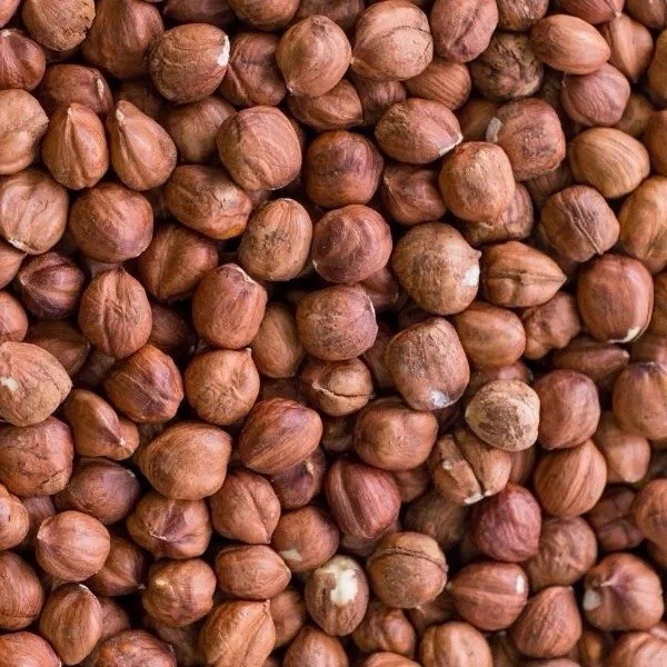 Turkish Natural Shelled Hazelnut Always Fresh 2025 Crop 11 oz.to30 lbs. Agro Sun gallery