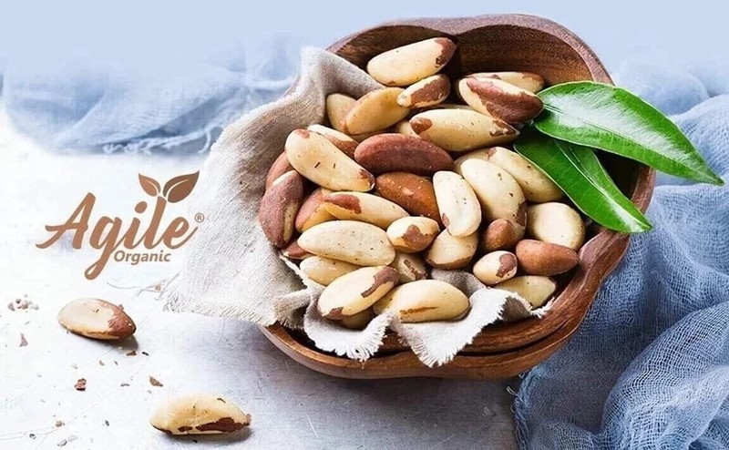 Agile Organic Jumbo Brazil Nuts 100g Free Shipping World wide