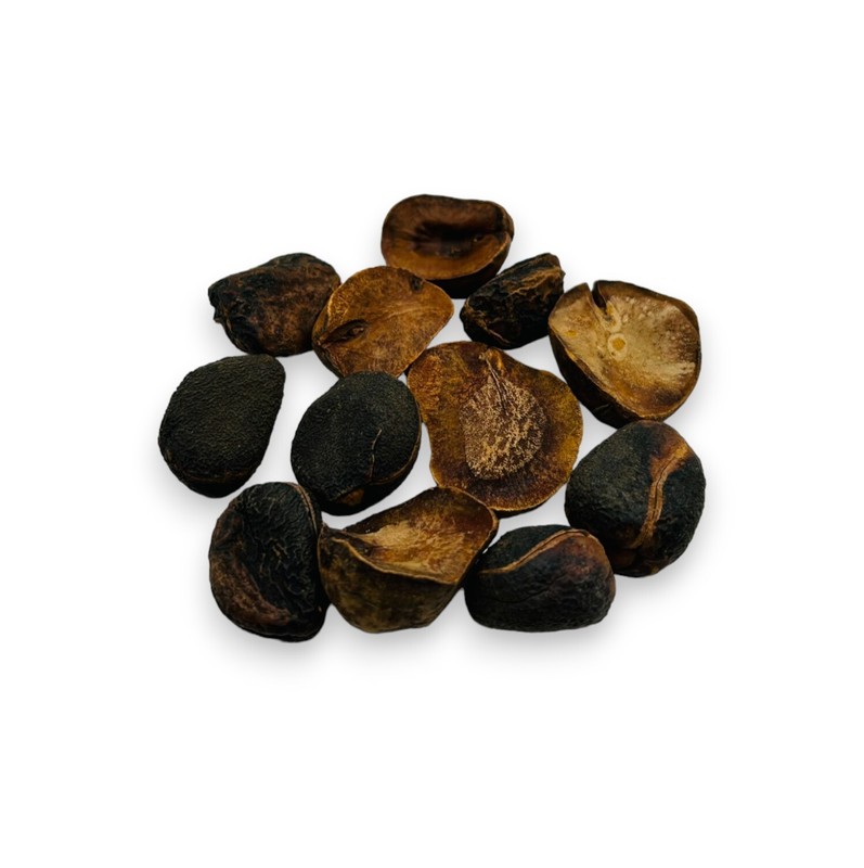 Dried Kola Nuts - 950 Grams (33.5 oz)- Premium Quality Cola Acuminata gallery