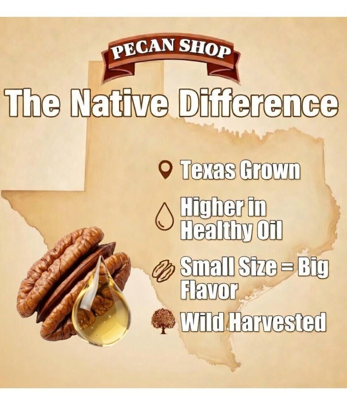 New Unsalted Sprouted Raw Texas Pecans 2 lb Wild Harvested Crispy gallery