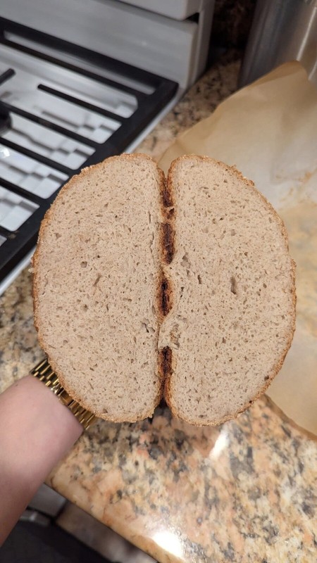 Ancient Gluten Free Sourdough Starter | 240+ Year San Francisco Culture gallery