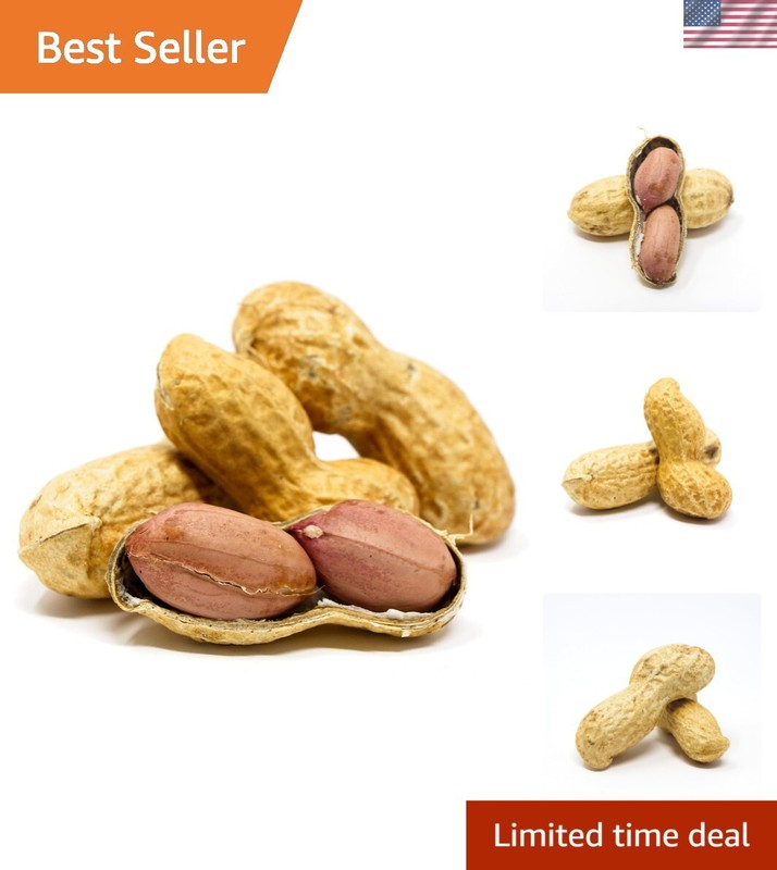 4lb Raw Virginia Peanuts in Shell for Squirrels - Unsalted & Nutritious