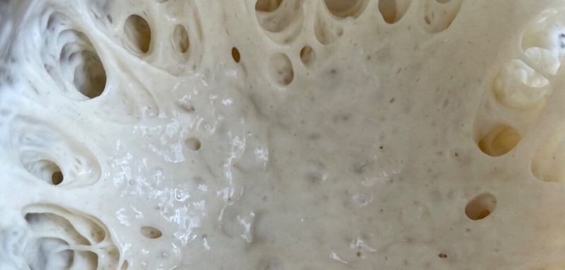 WILD YEAST Sourdough Starter Heritage San Francisco - 241yrs Old TOP SELLER! gallery