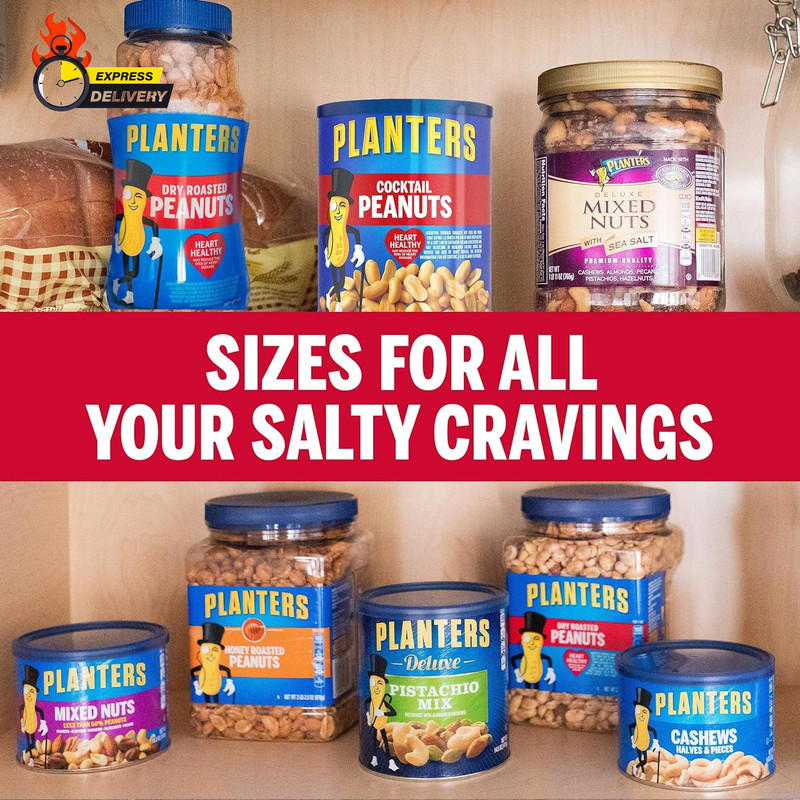 Salted Cocktail Peanuts, Party Snacks, Plant Based Protein 16Oz (1 Canister) gallery