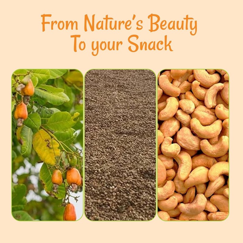 Cashews Roasted Unsalted - 1 lb - Roasted Unsalted Cashews - gallery